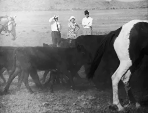 Livestock Prints: Royal Tour of Australia. The Queen and The Duke of Edinburgh watching stockmen round up