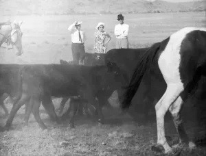 Commonwealth Prints: Royal Tour of Australia. The Queen and The Duke of Edinburgh watching stockmen round up