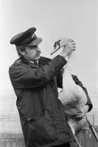 RSPCA in the West Midlands. RSPCA Inspector Tim Scott arrives back with an