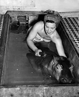 Ruby Bridges (18) gives the baby hippo her weekly brush up in Hilda