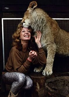 Images Dated 16th March 1989: Rula Lenska actress singer getting licked by a lion. March 1989