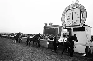 Runners in the Andy Capp Handdicap are paraded past the finishing post lead by So Royal