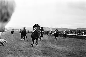 Runners and riders in the Daily Mirror Womens Race gallop the final furlongs to