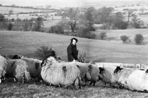 00348 Prints: Russell Harty at his farm house near the market town of Settle in North Yorkshire