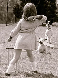 Throwing Prints: Russell the Jack Russell bats and Skinny bones is the wicket keeper