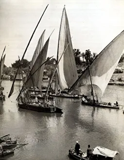 Sailing boats carrying goods and passengers along the River Nile. Circa 1910