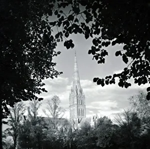 Salisbury Cathedral in Salisbury Wiltshire framed by the foliage of trees