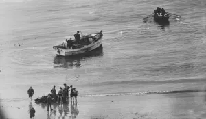 01449 Prints: Salvaging parts from the sea, after a batter in the skies. 1st August 1940