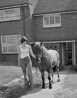 Sam the pet pony walking through his owners house to get through to his luxury stable
