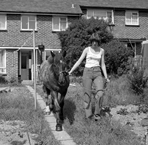 Sam the pet pony walking through his owners house to get through to his luxury stable