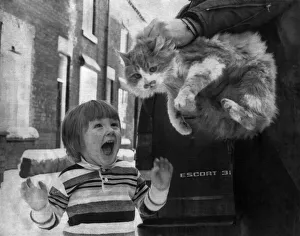 Surprise Prints: Sammy the high-prize cat was back with his two-year old owner Daniel Gudojc yesterday