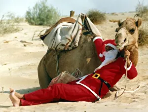 Heat Prints: Santa Claus cools off by sitting in the shade of a camel in the desert on his way to