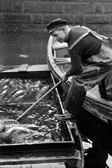 Denmark Prints: Scene from Copenhagens fish market Fisherman in Copenhagen