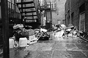 The scene at the back of the restaurant Melita'in the Kings Road, London