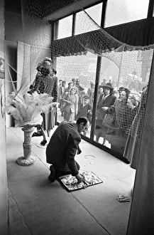 00448 Prints: Scenes from inside the shop window at Peter Robinsons Department Store, London
