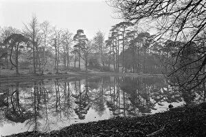 Images Dated 27th October 2016: Scenes at Keston Ponds, Kent. 9th January 1964