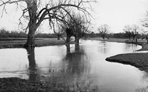 River Prints: Scenes on the River Cam in Grantchester after flooding caused by heavy rain, January 1968