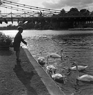 01021 Prints: Scenes by the weir, Marlow, Buckinghamshire. 10th September 1954