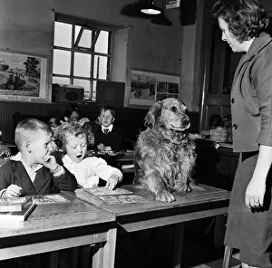 Primary School Prints: School teacher Mrs Sheila Collier called the register and found she had an extra pupil