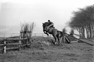 School for training jockey. The apprentices training centre for jockeys is at Kenilworth