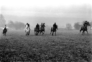 School for training jockey. The apprentices training centre for jockeys is at Kenilworth