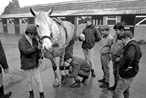 School for training jockey. The apprentices training centre for jockeys is at Kenilworth