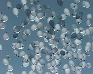 Core23 Prints: A sea of blue balloons, representing the number of deaths caused by drink drive related