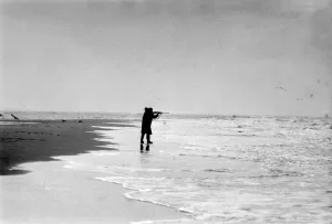 Tide Prints: The seals of Scroby Sands, Norfolk, were to pay dearly for all the net-ripping