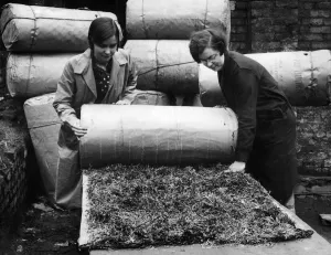 Sound Prints: Seaweed used to deaden sound in workshops and public buildings is the latest device to