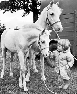 County Prints: Sedgefield Agricultural Show. Two year old Tracy Herron of Sedgefield looking after her