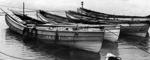 Have you seen the fine lines of the Cobles? they are so shaped to withstand heavy seas