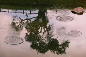 A series of pictures which show water from source, in a reservior