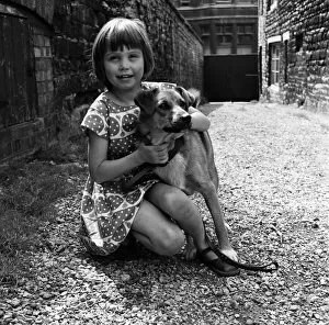01030 Prints: Seven-year-old Sheena Broom with the Corgi cross puppy which was found watching lorries