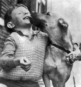 Seven-year-old William Fraser of Colne and Lady'the dog who saved his life