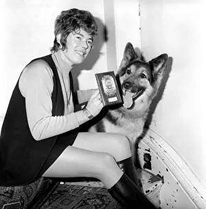Rescued Prints: Sheba The Alsation who raised the alarm of fire at the Crofton Hotel, Queens gate