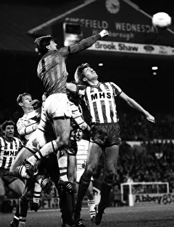 Sheffield Wednesday v. Chelsea Chelsea goalkeeper Eddie Niedzwiecki in action