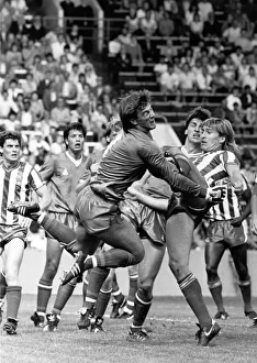 Sheffield Wednesday v. Chelsea Eddie Niedzwiecki of Chelsea in action with Lee
