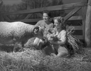 Straw Prints: Shirley Lorimes snd Pauline Olsen seen here with spring lambs