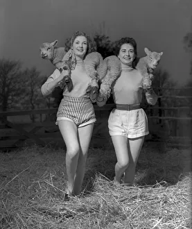 Shirley Lorimes snd Pauline Olsen seen here with spring lambs