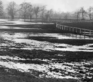Spring Prints: Shirley Park Race Course. A view of the waterlogged condition of the Shirley Park