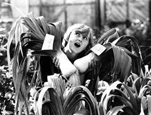 00151 Prints: Shirley Riley with her prize winning Giant Leek - vegetables