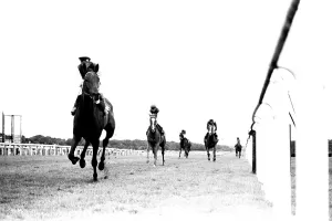 Singletta, with jockey Walter Swinburn virtually a passenger