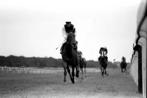 00116 Prints: Singletta, with jockey Walter Swinburn virtually a passenger