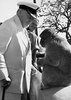 Sir Winston Churchill with barbary ape during visit to Gibraltar - October 1958