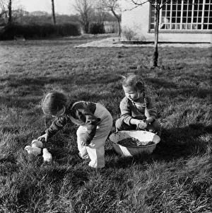01228 Prints: Sisters Mary (left) and Ann Weller playing with baby chicks at Downley Hill Farm