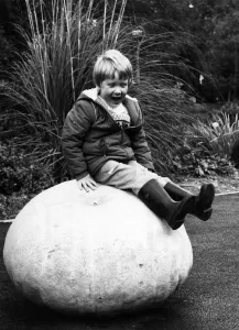 Vegetables Prints: Sitting Pretty. Matthew McLean and the record-breaking pumpkin. October 1981 P006540
