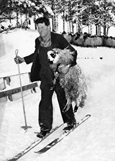 Farmer Prints: Skiing farmer Andrew Cruickshank carrying a sheep underneath his arm that he found in a
