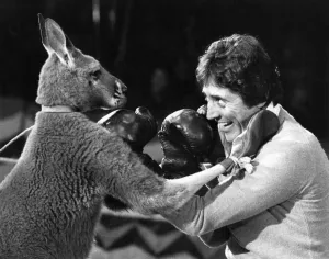 Skippy the kangaroo doesn t appear impressed by French singer Sacha Distel