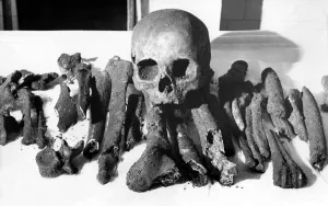 Skulls and bones discovered in Durham Market Place unearthed by Post Office workmen