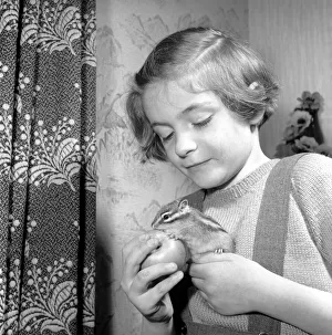 Small girl playing with chipmunks. January 1965